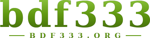 bdf333 logo